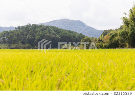 日本岡山縣總社市吉備吉的美景 82315589