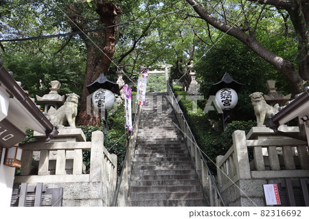 A view of the guardian dog, the lanterns of Tenmangu, the tunnel of green trees full of sunlight, the approach to the stairs, and the stone torii gate beyond. A view of the guardian dog, the lanterns of Tenmangu, the tunnel of green trees full of sunlight, the approach to the stairs, and the stone torii gate beyond. 82316692
