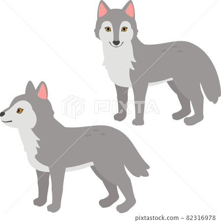 Front-facing wolf and side-facing wolf Front-facing wolf and side-facing wolf 82316978
