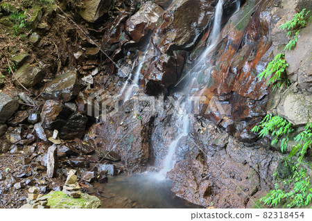 《Okayama Prefecture》 Summer scenery of Tsuyama and Otaki [August] 82318454