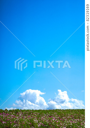 A landscape with a deep blue sky, white clouds, and autumn cherry blossoms 82319169