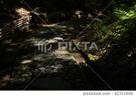 Cobblestone road with beautiful sunlight through the trees 82321689