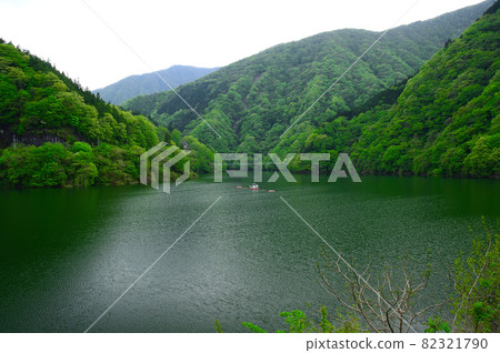 Fresh green Chichibu Lake Fresh green Chichibu Lake 82321790