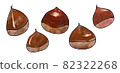 Chestnut illustration material 82322268