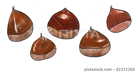 Chestnut illustration material Chestnut illustration material 82322268