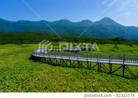北海道 / 北海道東部知床五湖高架木板路 8 月 82322578