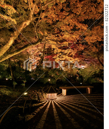 Illuminated autumn leaves of Kyoto Arashiyama Hogon-in Illuminated autumn leaves of Kyoto Arashiyama Hogon-in 82322712