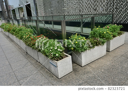 Flowerbed in the office district 82323721