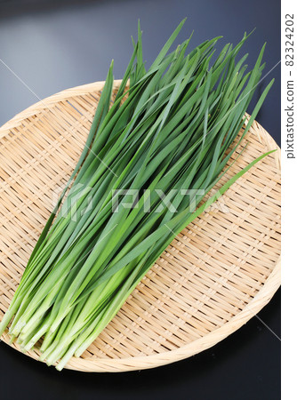 Chinese chive 82324202