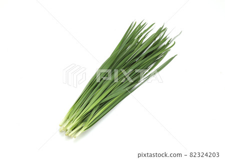 Chinese chive 82324203