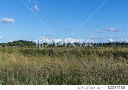 仁川南洞區索拉濕地生態公園 82325260