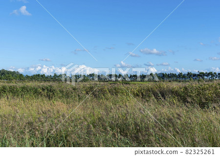 仁川南洞區索拉濕地生態公園 82325261