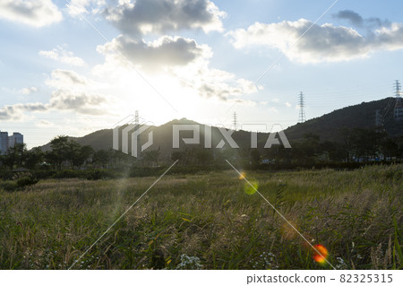 仁川南洞區索拉濕地生態公園 82325315