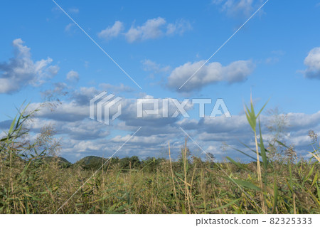 仁川南洞區索拉濕地生態公園 82325333