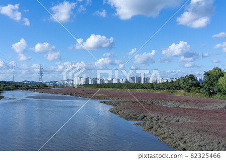 仁川南洞區索拉濕地生態公園 82325466
