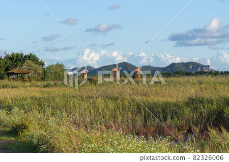 仁川南洞區索拉濕地生態公園 82326006