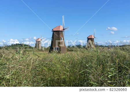 仁川南洞區索拉濕地生態公園 82326060