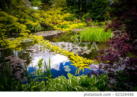gardens of painter Claude Monet in Giverny, France gardens of painter Claude Monet in Giverny, France 82326486