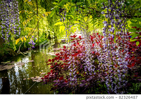 gardens of painter Claude Monet in Giverny, France gardens of painter Claude Monet in Giverny, France 82326487