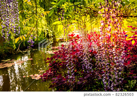gardens of painter Claude Monet in Giverny, France gardens of painter Claude Monet in Giverny, France 82326503