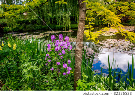 gardens of painter Claude Monet in Giverny, France gardens of painter Claude Monet in Giverny, France 82326528