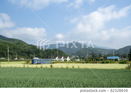 平原郡，平昌郡，蕎麥，蕎麥 82326630