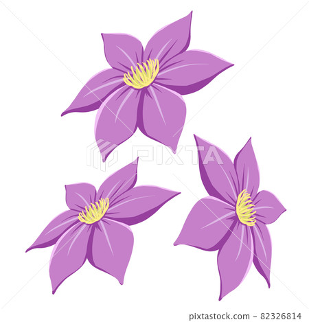 Clematis 6-valve purple 3 sets 82326814