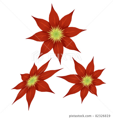 Clematis 8-valve red 3 sets 82326819