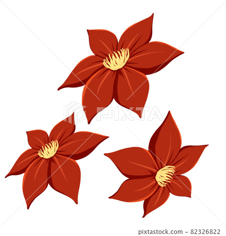 Clematis 6 valve red \ 3 set Clematis 6 valve red \ 3 set 82326822