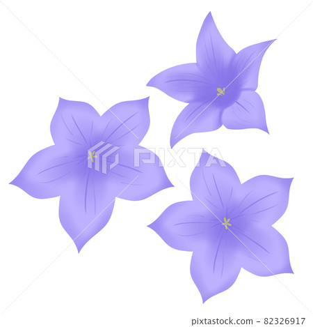 Kikyo 3 sets purple Kikyo 3 sets purple 82326917