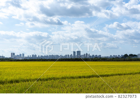 京畿道始興市厚和市 82327073