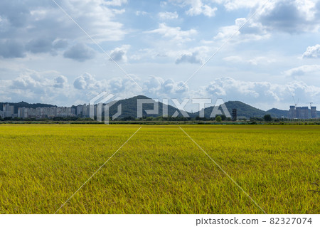京畿道始興市厚和市 82327074