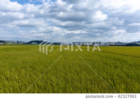 Hojobeol Siheung-si, Gyeonggi-do Hojobeol Siheung-si, Gyeonggi-do 82327081