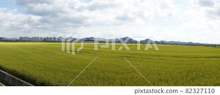 京畿道始興市厚和市 82327110