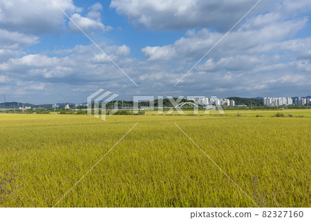 京畿道始興市厚和市 82327160