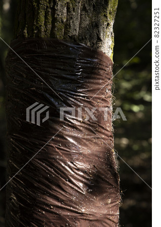 用於害蟲控制的粘性 82327251