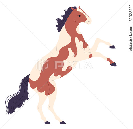 Spotted horse with its front hooves raised high. 82328395