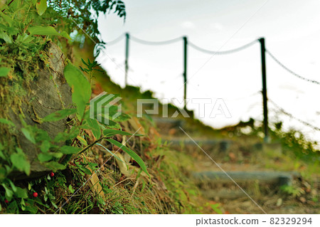 Take the stairs to take a picture of the rice terraces Take the stairs to take a picture of the rice terraces 82329294