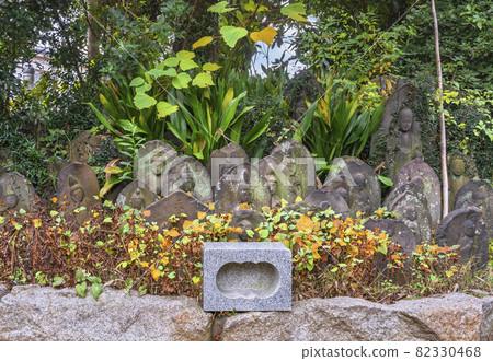 [Horikiri, Tokyo] A stone statue of Shaka Nyorai, Koiku Jizo and Kobo Daishi, covered with moss and autumn plants lined up in front of the incense burner at Tamonji Temple. 82330468