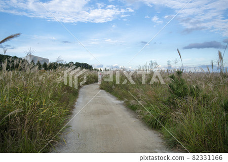 大武八田香基主題公園 大武八田香基主題公園 82331166