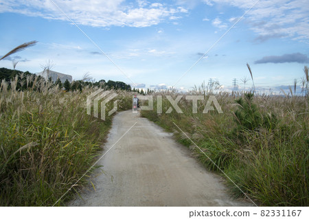大武八田香基主題公園 大武八田香基主題公園 82331167