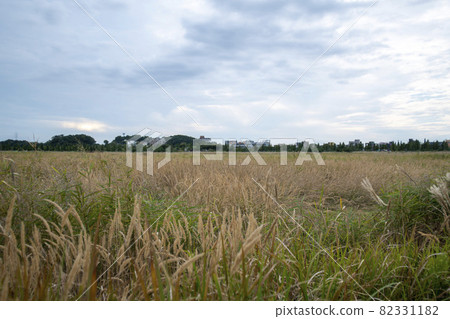 大武八田香基主題公園 大武八田香基主題公園 82331182