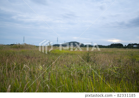 大武八田香基主題公園 大武八田香基主題公園 82331185