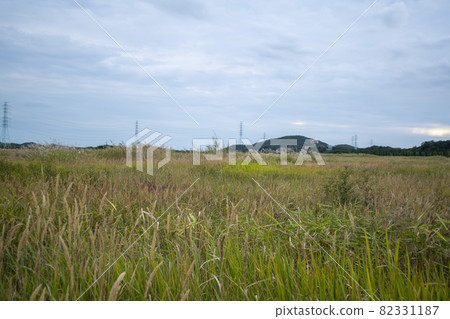 大武八田香基主題公園 82331187