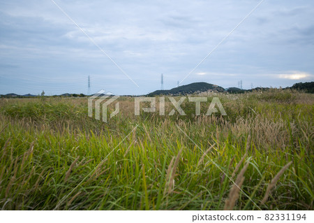 Daebu Bada Hyanggi Theme Park 82331194