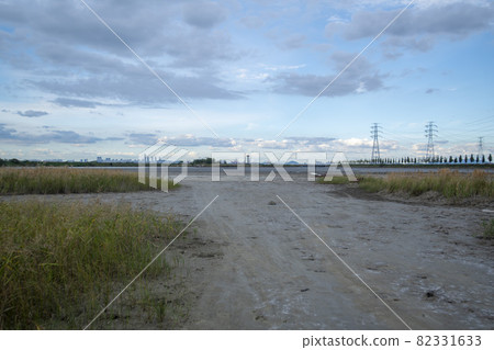 Transmission tower 82331633