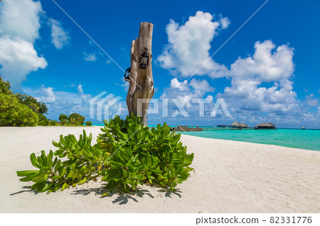 Tropical beach in the Maldives 82331776