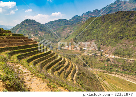 Terraced rice field in Sapa Terraced rice field in Sapa 82331977