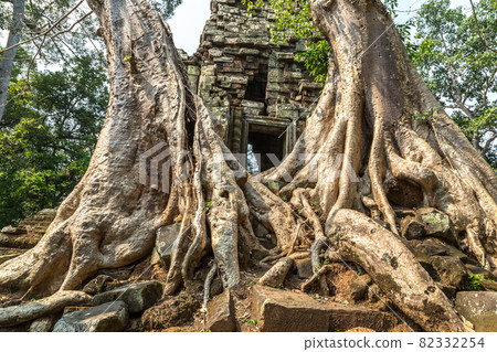 Preah Palilay temple in Angkor Wat 82332254