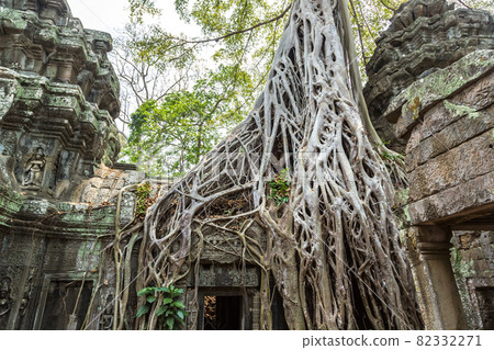 Ta Prohm temple in Angkor Wat Ta Prohm temple in Angkor Wat 82332271